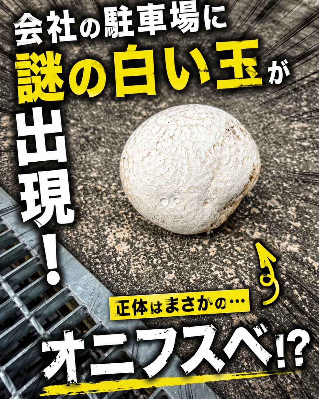 【雪止め取付工事】
雪止めアングルの取付作業を行いました。
落雪による事故や雨樋の破損防止に役立つ大切な工事です。
▼ 職人募集 ▼
未経験歓迎
完全週休2日制
資格取得支援あり
お問い合わせはお電話またはホームページよりお願いいたします。
TEL:0247-82-2278
#柳沼板金店
#雪止め工事
#田村市
#求人募集
#職人募集